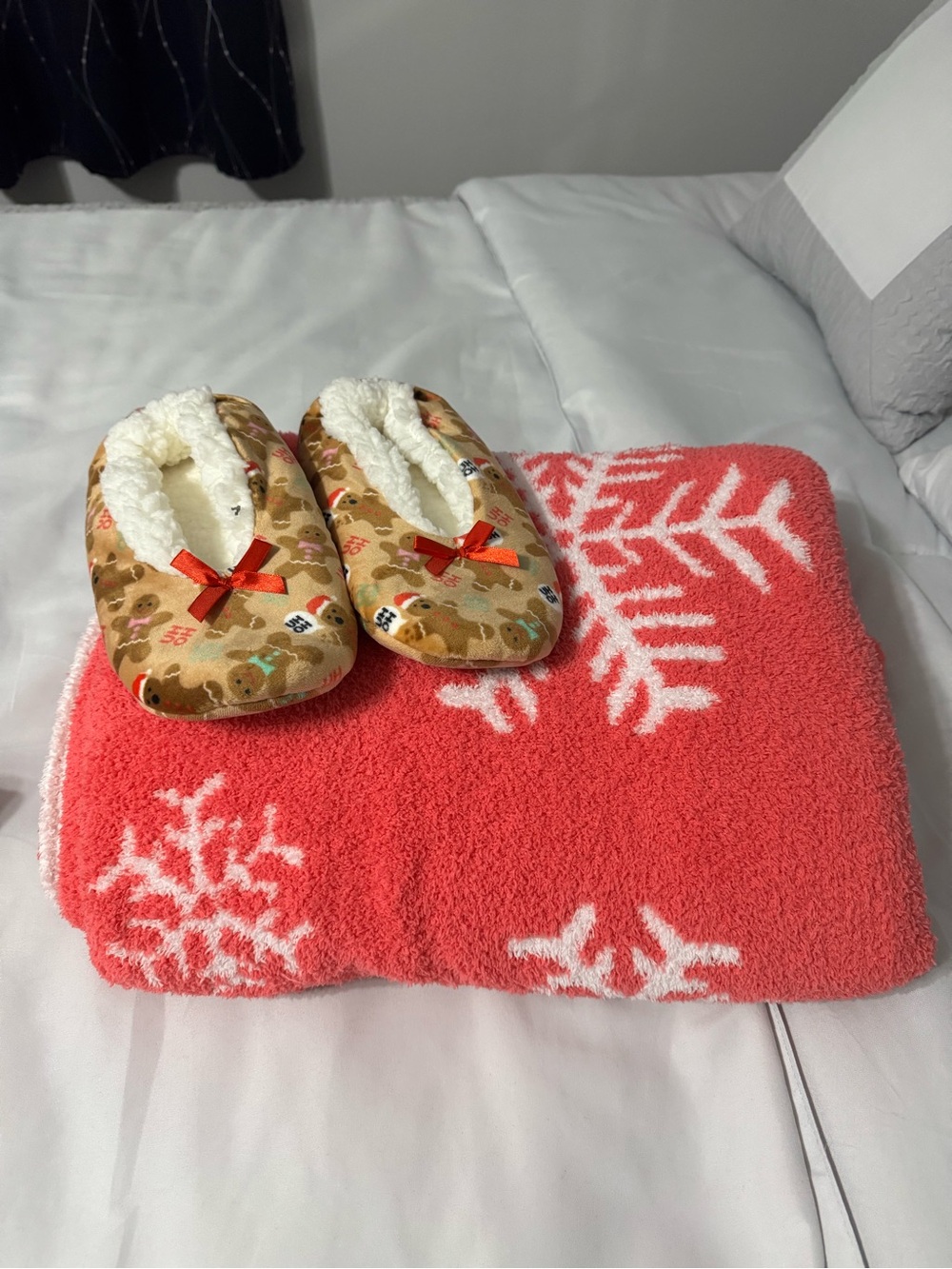 Viral Holiday Throw Blanket and Slippers